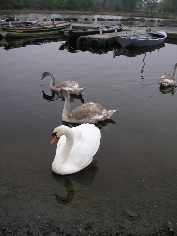 Lakeland Midsummer Lakehouse Oughterard Bagian luar foto
